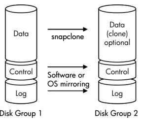 Figure 1: Disk group example 1  Data Control Log (clone)Data optionalControlLog