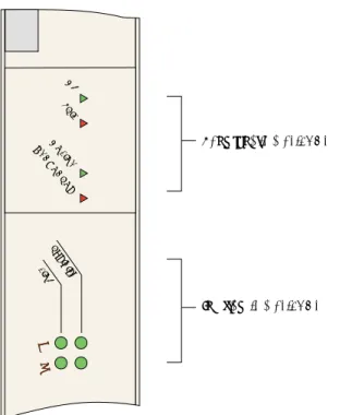 Figure 53:  FE2 module LEDs