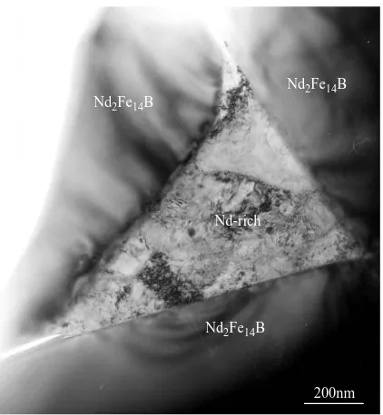 Fig. 1. Bright-ﬁeld TEM micrograph of the as-received NdFeBmagnet, showing Nd2Fe14B matrix grains and Nd-rich grainboundary phase.