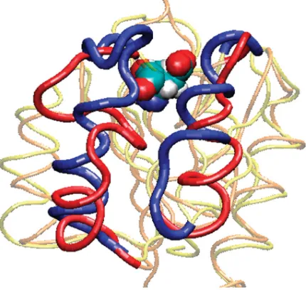 Figure 1. The native (blue) and phosphorylated (red) conformations of NTRC. The site ofphosphorylation (Asp54) is shown as spheres.
