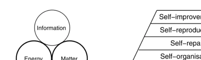 Fig. 3.To engineer self-organised systems, the traditional design considerations ofenergy and matter need to be augmented to include information (A)