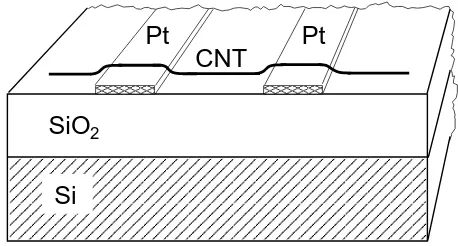 Figure 4: Carbon nanotube ﬁeld eﬀect transistor. A single walled semiconducting carbon nan-otube (CNT) contacts two platin electrodes (Pt)