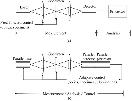 Figure 2. The architecture of conventional confocal laser microscopes (a) and a new paradigm (b)