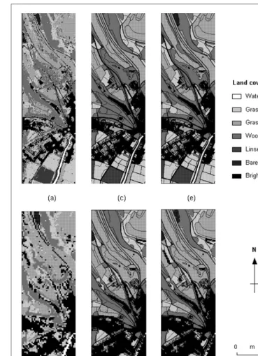 Figure 2. Land-cover classiﬁcations based on the 4-m and 20-m spatial resolutionimages