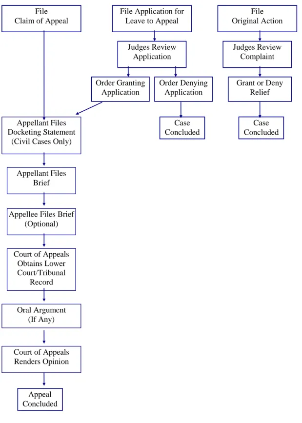 Diagram of Basic Appeal Process  In the Court of Appeals 