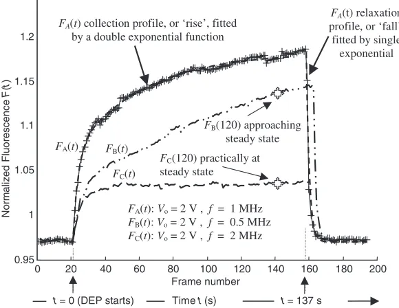 Figure 6. Example of a characteristic w/2 + d/2 ﬂuorescence intensity I˜(x, t) of a sequence of video frames that shows DEP particlecollection and relaxation about a representative electrode edge for the experimental condition, V0 = 2 V, f = 1 MHz.