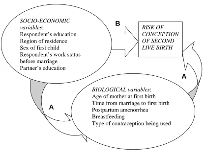 FIGURE 2. CONCEPTUAL FRAMEWORK 