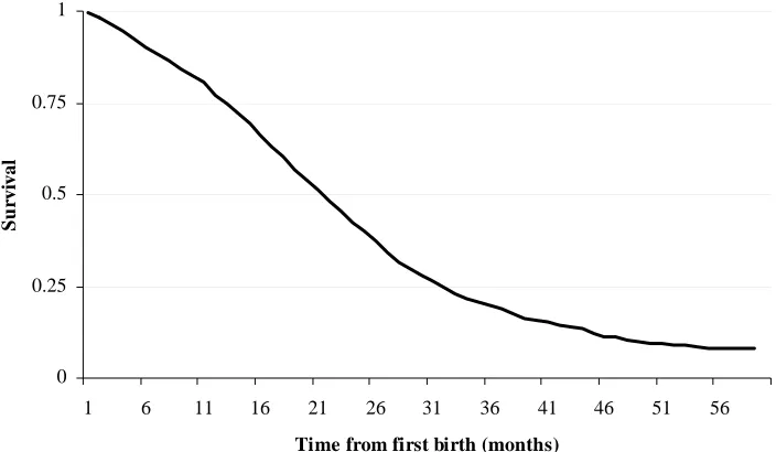 FIGURE 4. KAPLAN –MEIER SURVIVAL FUNCTION FOR THE INTERVAL BETWEEN FIRST BIRTH AND SECOND CONCEPTION FOR WOMEN THAT HAD A FIRST CHILD AFTER 1 JANUARY 1995 