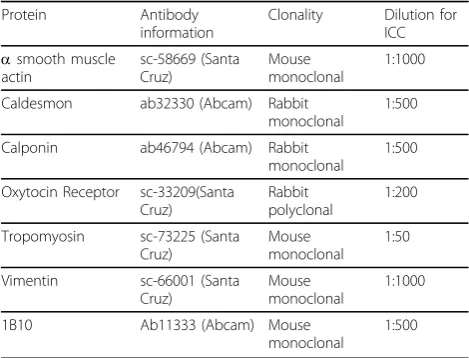 Table 2 Antibody Information