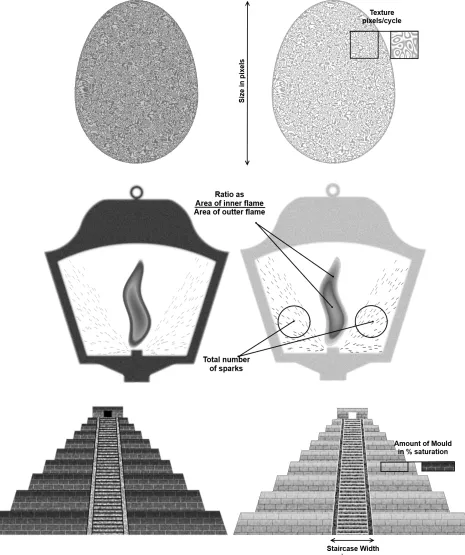 Figure 2: Hyperproducts used in Experiment 1