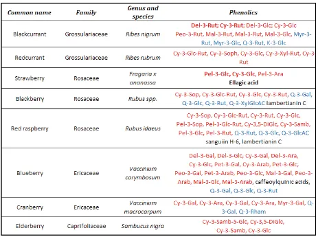 Table 2-1: Phenolic diversity of various berry fruits. Adapted from Beattie et al (2005)
