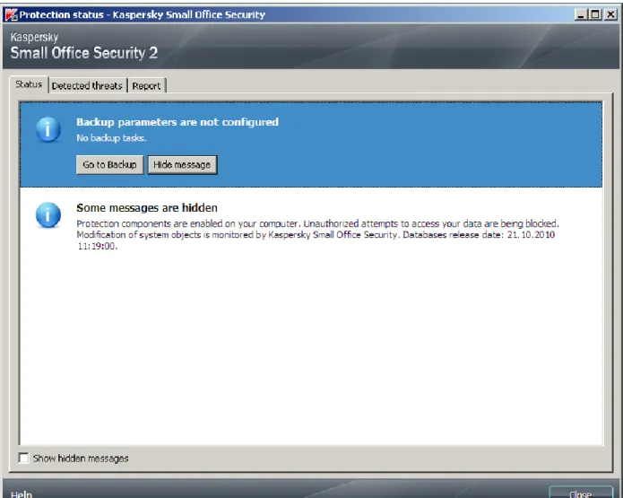 Figure 7. The Protection status window 
