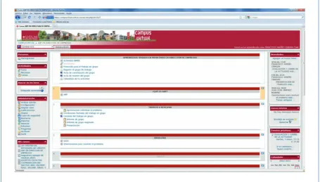 Figure 1. View of the open virtual space on Moodle