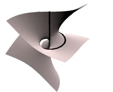Figure 3. A phase surface (mod π) of the wave ψclosed with m = 1.A straight vertical dislocation line threads a closed screwdislocation, and the local phase ribbons join up in the form of anoncompact torus.