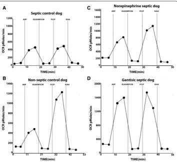 Fig. 3septic control group (panel c). In the animal in the gentisic septic group, there was a large response in OCR toADP which nearly equaled the response to FCCP (paneldifferent metabolic conditions