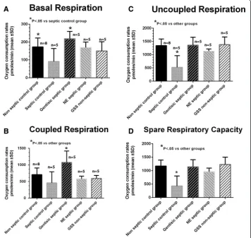 Fig. 4 Mean oxygen consumption rates (OCR) under the different metabolic conditions are shown for thegreater than the other groups