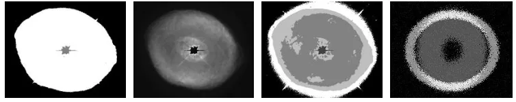 FIGURE 6.Segmentations of IC418 image: (a) three-class segmentation (b) ditto, white class used asmask load to original image (c) ﬁve-class segmentation, and (d) sample data from geometrically reﬁnedsegmentation model; class 1 (white) corresponds to the hull, class 2 (gray) to the core, and class 3 (notshown) to the background.