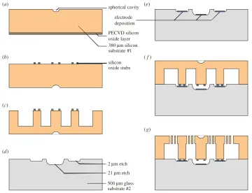 Figure 10. Overview of the fabrication process of the three-dimensional actuator.