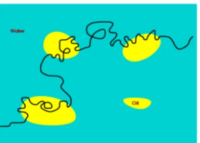 Figure 1: An undirected copolymer in an emulsion.