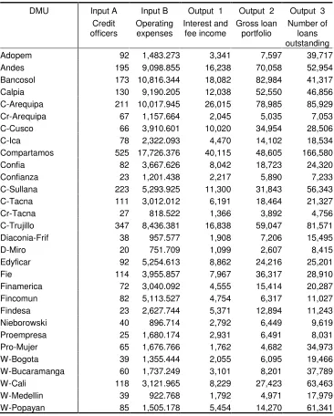 Table 4.  List of MFIs and the value of inputs and outputs  
