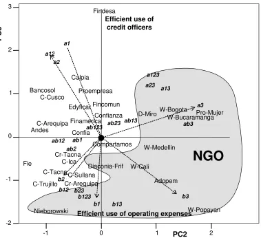 Figure 2. PC2 versus PC3. Profit lines. NGOs are shadowed 