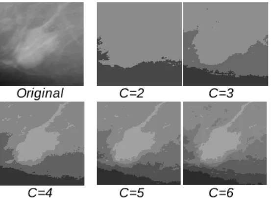 Figure  1. The  Different  Clustering  Results 