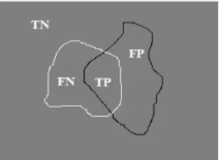 Figure  7. True  Positives,  True  negatives,  False   Positives, and  False  Negatives  definition