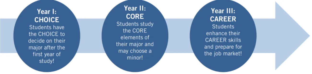 Figure 1: The Jacobs University 3C-Model
