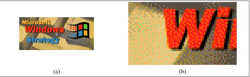 Figure 2-3 – (a) Original GIF compressed image. (b) Magnification of an area containing part of characters and part of the background