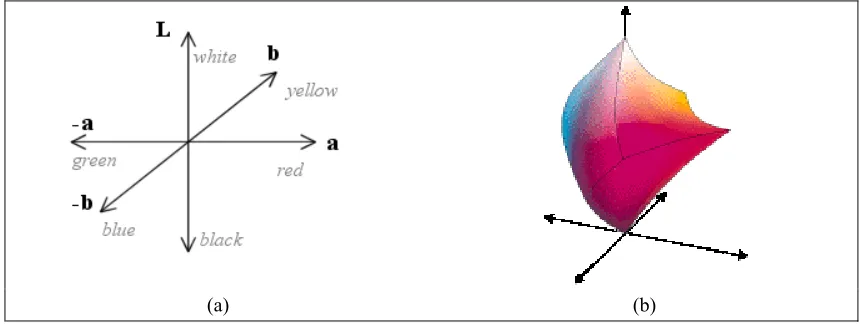 Figure 3-3 – CIE XYZ colour space. (a) Axis of the colour space. (b) Colour gamut.