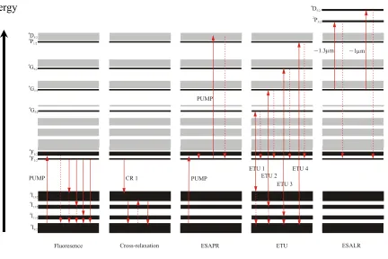 Figure 3.2 Diagram showing various energy levels for Nd+3, displaying fluorescence and various 