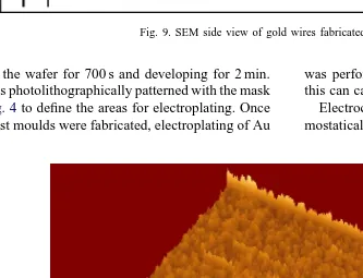 Fig. 9. SEM side view of gold wires fabricated by sputtering.