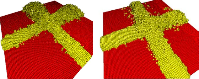 Fig. 4. Two examples of cross-road formation. Parameters again as ﬁgure 1, save thatenter the lattice, with probability 0no wind is modelled, and two perpendicular streams of trail termites are introduced:t1 = 10, t2 = 10, c = 0.5
