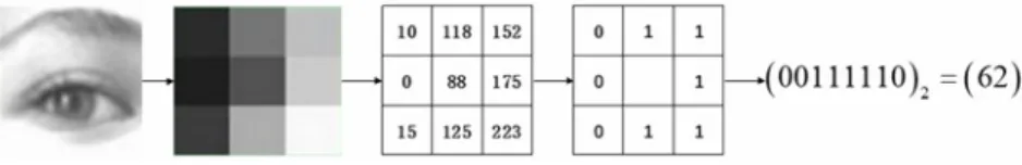 Fig. 1. Original LBP feature calculation process 