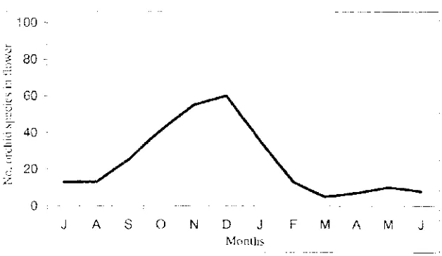 Figure 5: Flowering curve of the species of Orchidaceae along the year (June to July) in New Zealand (Data compiled from St