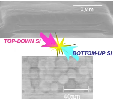 Fig. 1 Atomic structures of (a) a silicon nanodot (Siand (b) a silicon nanowire (Si29H24) 336H250) calculated using the SIESTA package [5][6]