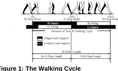 Figure 1: The Walking Cycle 