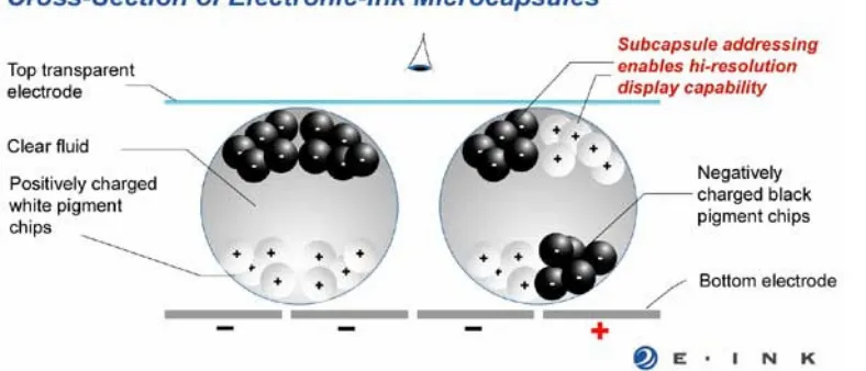 Figure 1 – Gyricon beads, set in cavities on a plastic sheet, rotate when an electric field is applied