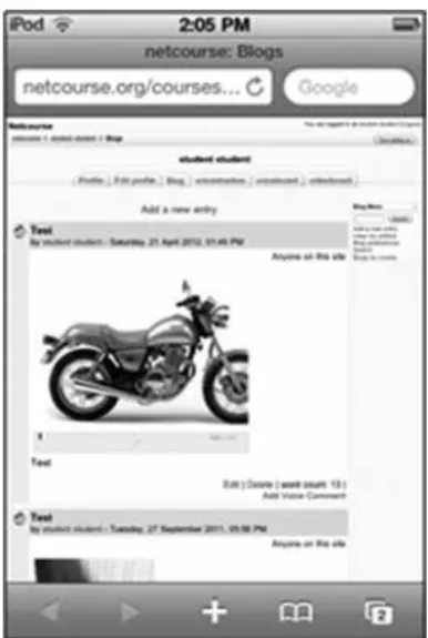 Figure 2. HTML5-packaged online slideshow
