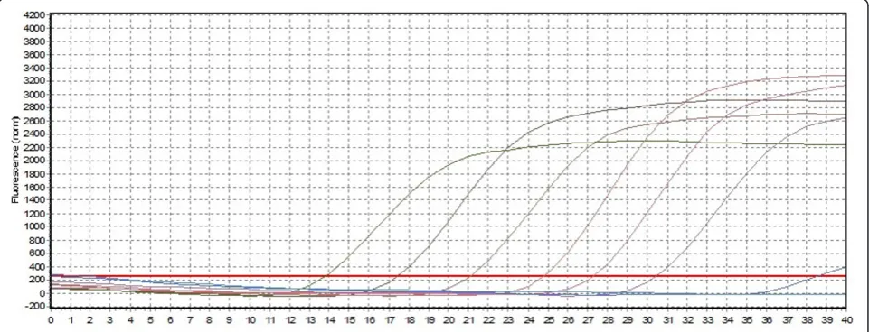 Figure 1 The specificity and sensitivity of one step SYBR green real-time RT-PCR. Plot of the amplification of a 10-fold serial dilution (1.31× 107-1.31 × 102) of pDuCV-ORF-V1 to calculate the detection limit and sensitivity of real-time PCR by analyzing the fluorescence curve of the191 bp DNA amplification product.