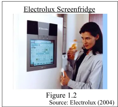 Figure 1.2Source: Electrolux (2004)