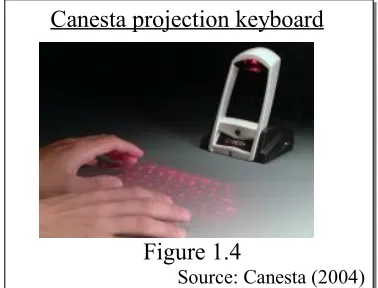 Figure 1.4Source: Canesta (2004)