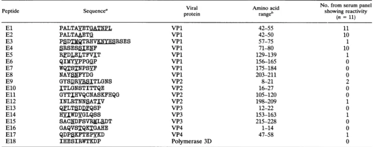 TABLE 1. Sequences and localizations of enterovirus peptides and reactivity with 11 convalescent-phase serum samples from patients infected with enteroviruses of different serotypes