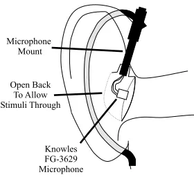 Fig. 2. Schematic of the Microphone Mount on a Left Ear