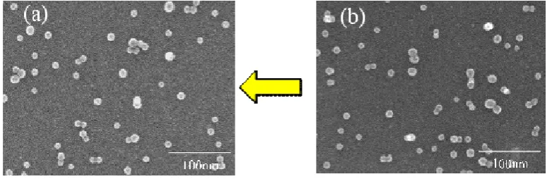 Figure 2. SEM images of Sample A (a) after and (b) before the dipping into the pure water