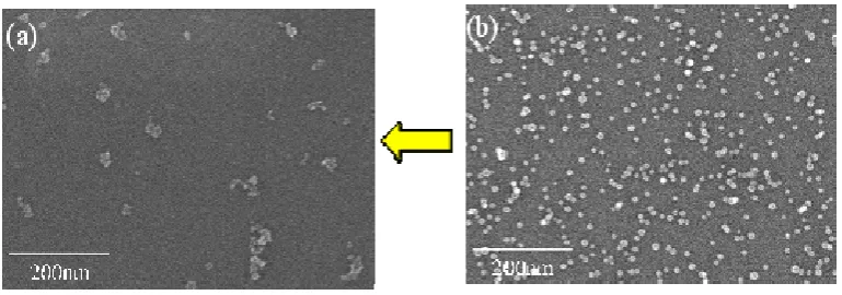 Figure 3. SEM images of surfaces of Sample D (a) after and (b) before the dipping in the 1.5 % HF solution