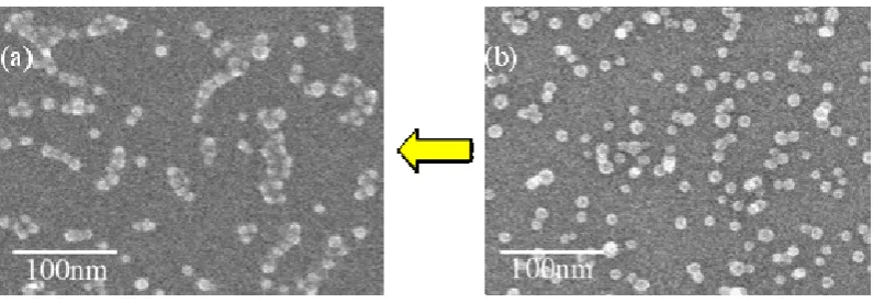 Figure 4, Results of the solution droplet evaporation method. (a) After and (b) before the process