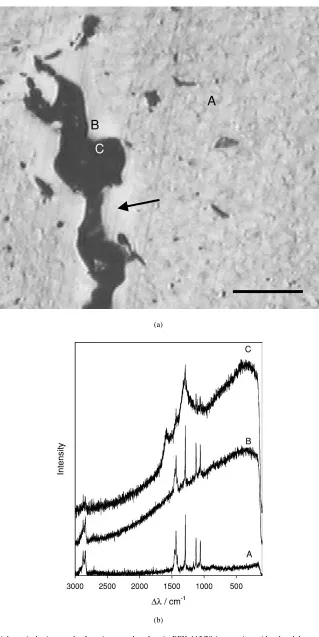 Figure 2 (a) Reﬂected light optical micrograph of a microtomed surface in BPK 115/20 intersecting with a breakdown channel; the breakdownevent has resulted in local melting of the polymer (scale bar = 100 µm)