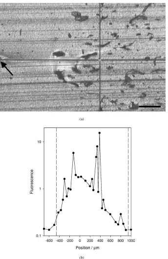 Figure 7 (a) Low magniﬁcation reﬂected light optical micrograph of the electrical tree (scale bar = 100 µm)