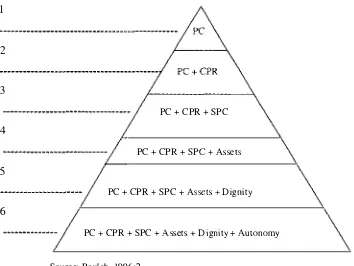 Figure 2.2: A pyramid of poverty concepts 